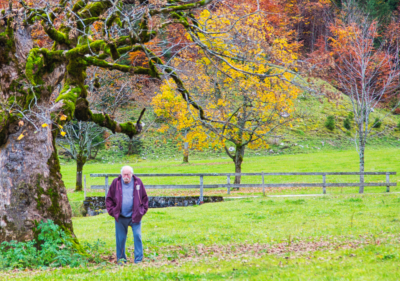 Heinz Kreuzer Tonholzhändler